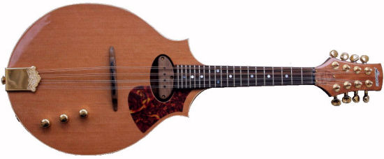 Magpie 2 point mandolin